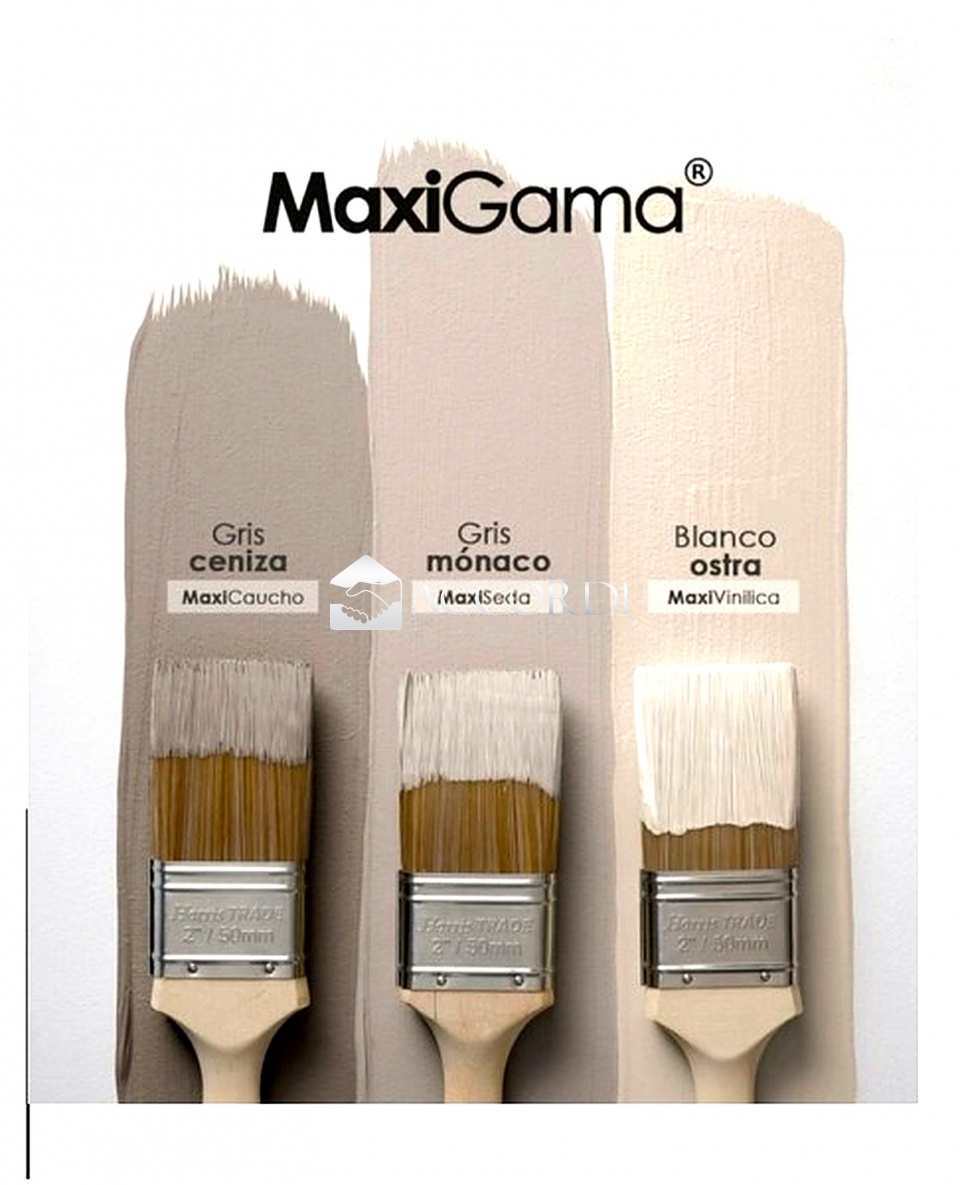 Bilocale con giardino a Montebelluna