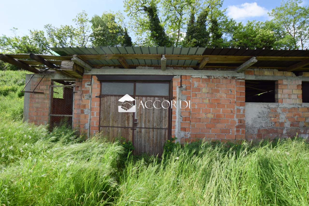 Casa indipendente con giardino a Pederobba