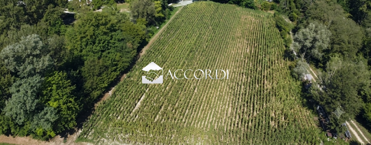 Terreno in vendita a Asolo