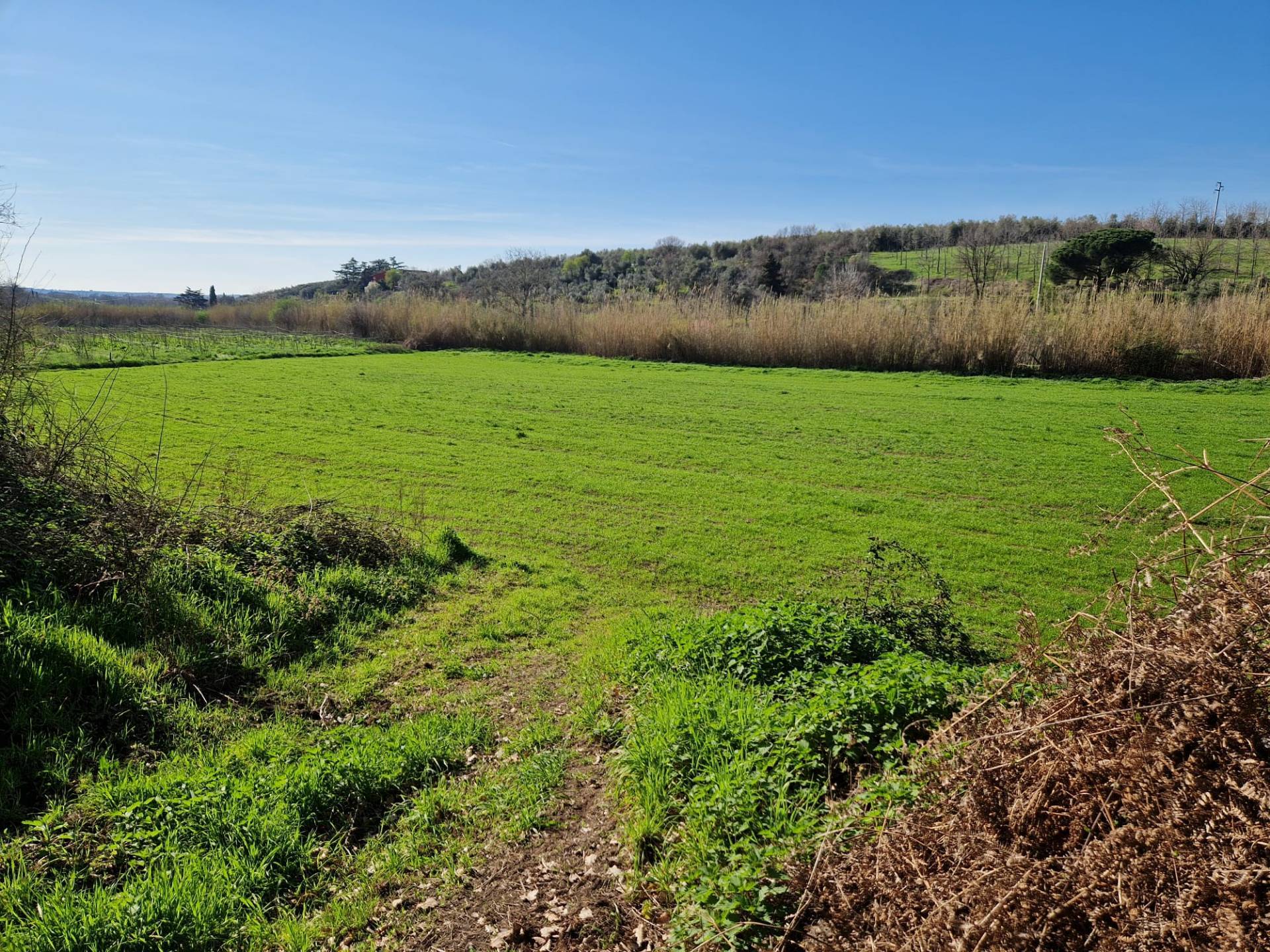 Terreno agricolo in vendita a Vetralla