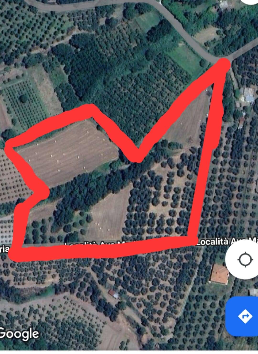 Terreno agricolo in vendita a Vetralla