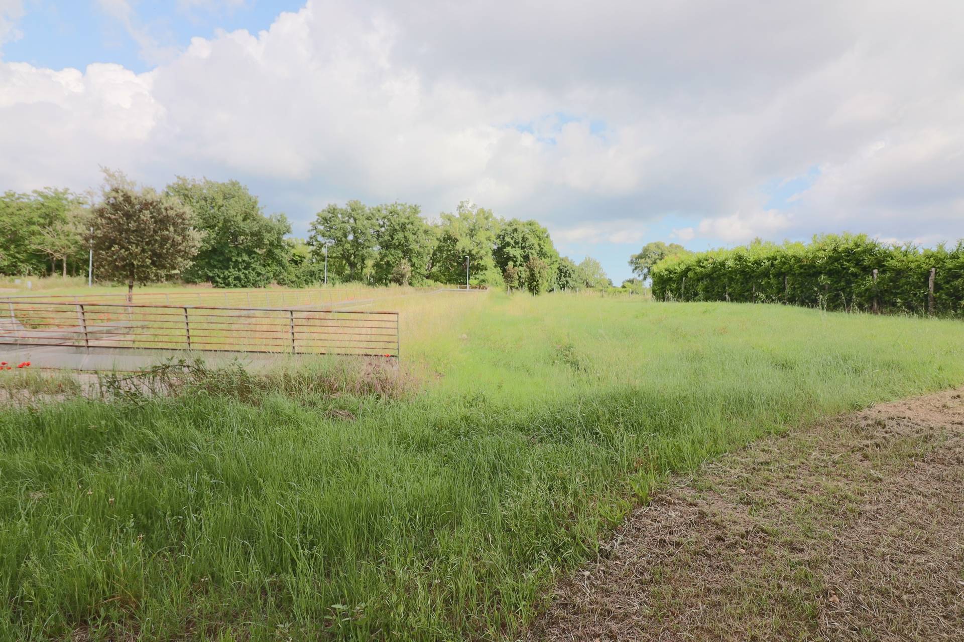 Terreno Edificabile in vendita a Vetralla, La Botte