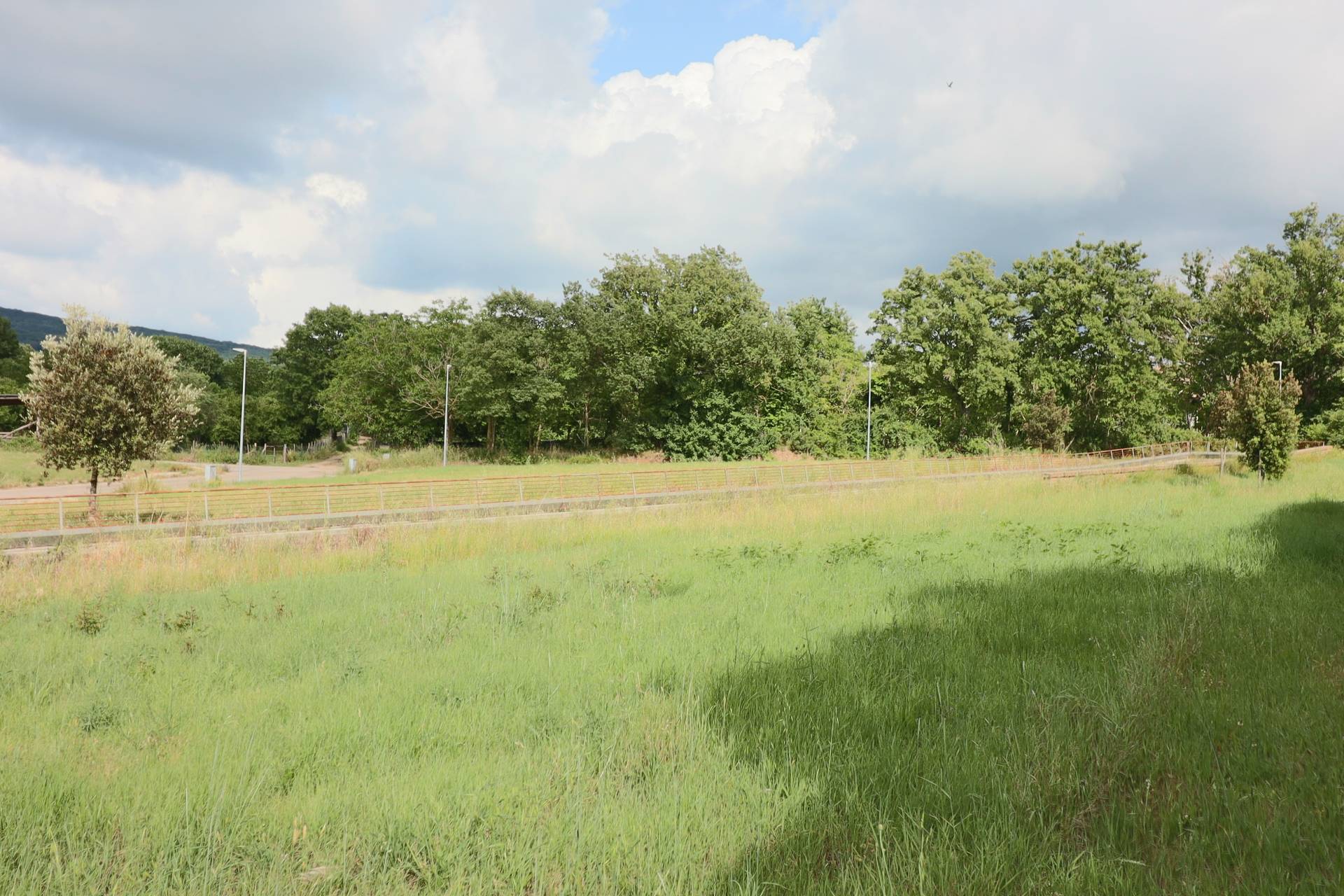 Terreno Edificabile in vendita a Vetralla, La Botte
