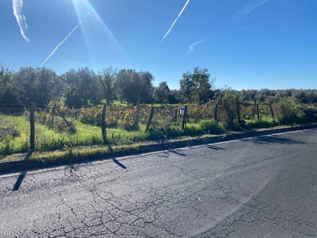 Terreno agricolo in vendita a Vetralla