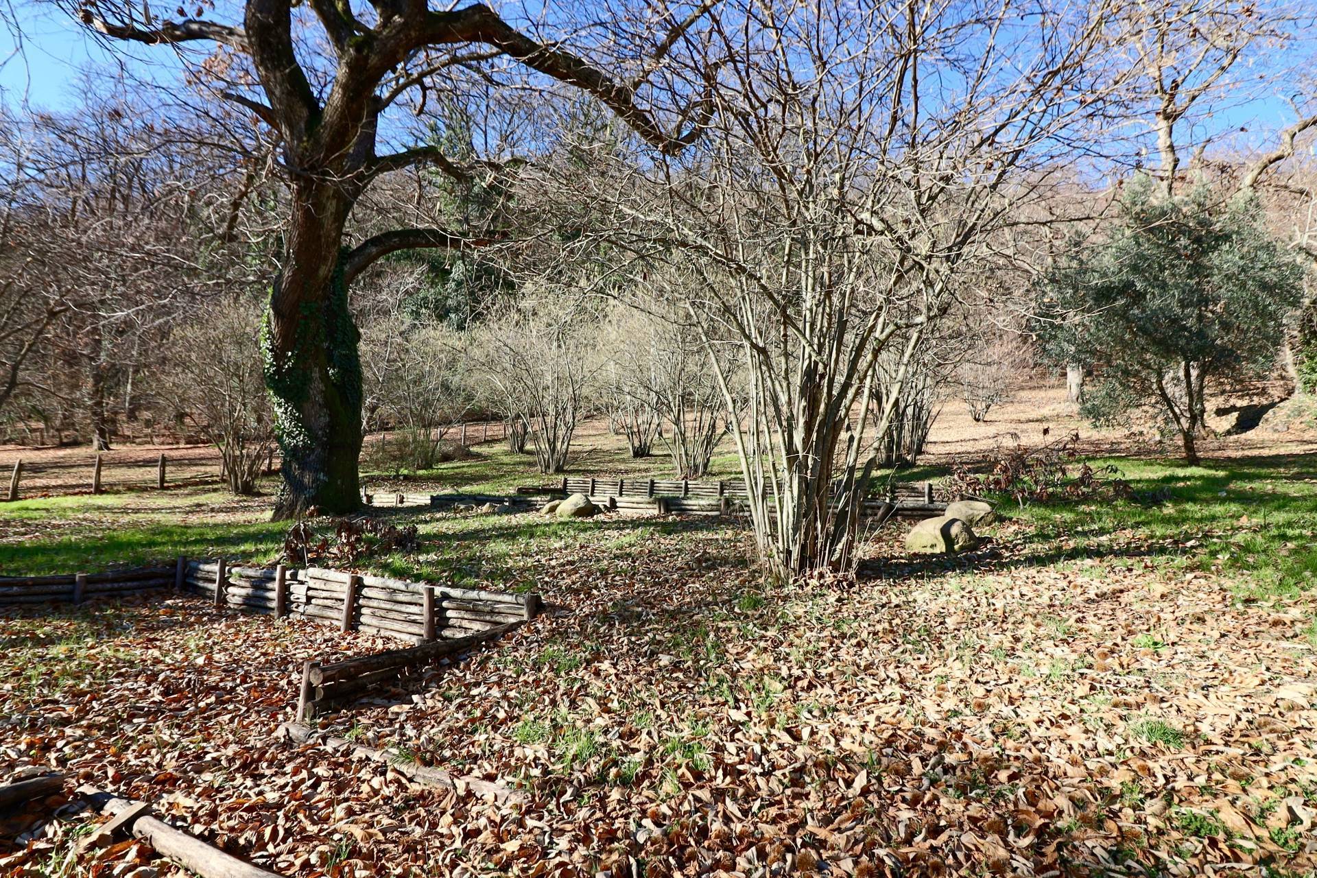 Rustico/Casale/Corte in vendita a Caprarola, Localit Fogliano