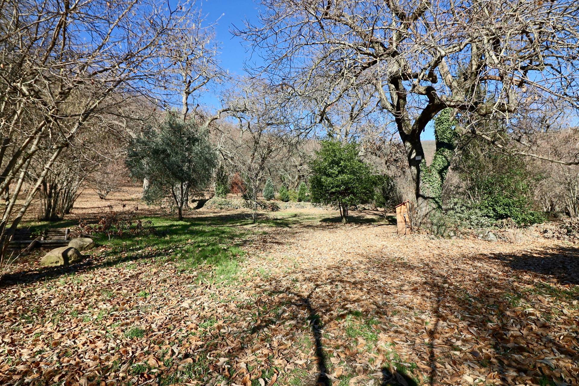 Rustico/Casale/Corte in vendita a Caprarola, Localit Fogliano