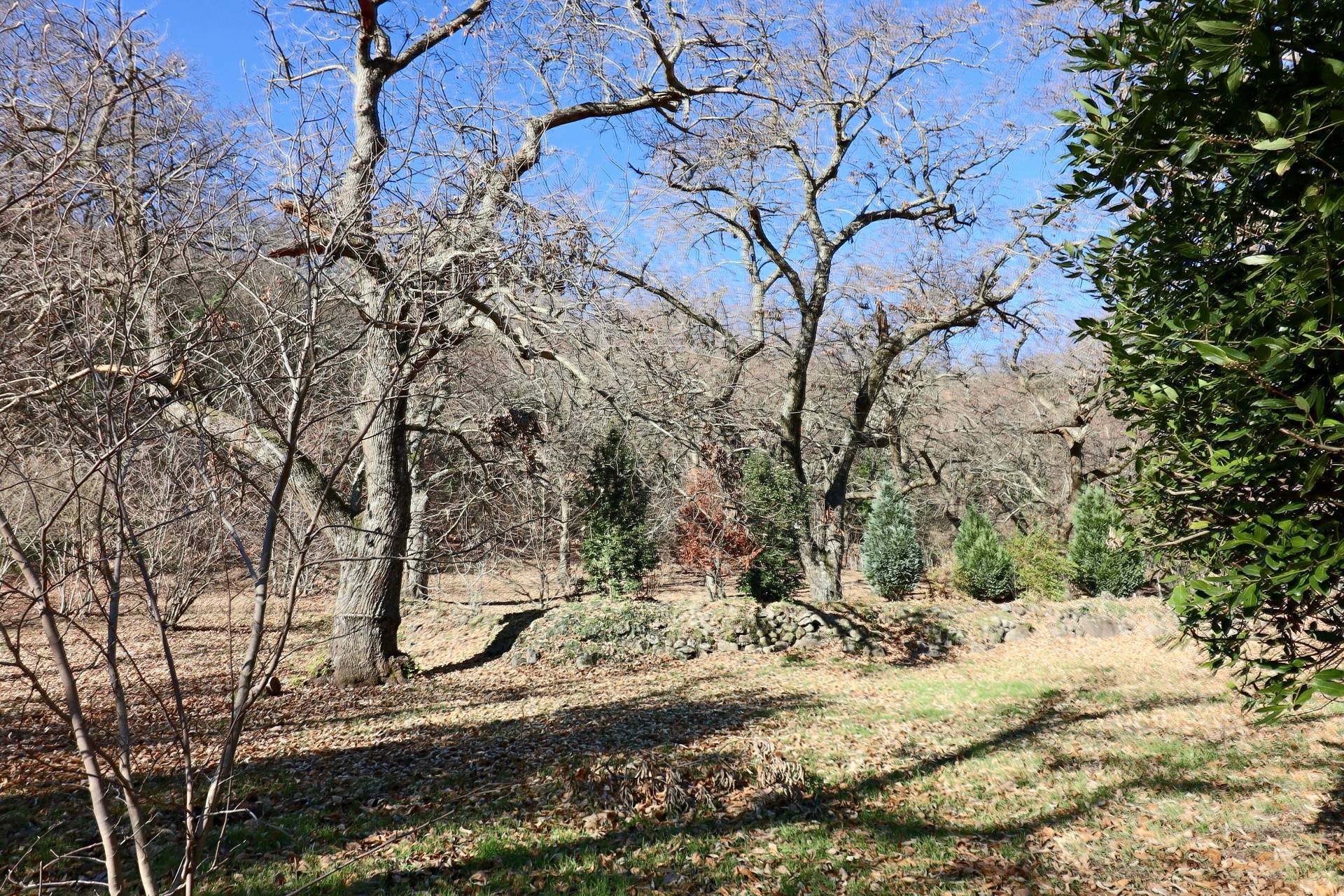 Rustico/Casale/Corte in vendita a Caprarola, Localit Fogliano