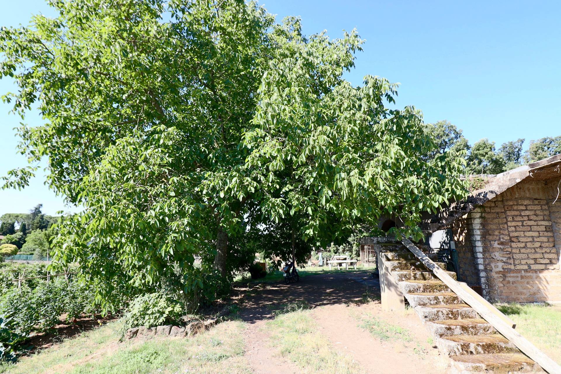 Stabile in vendita a Vetralla, Giardino