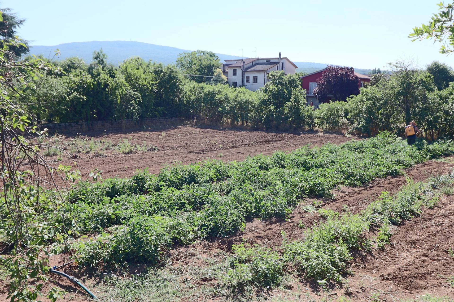 Stabile in vendita a Vetralla, Giardino