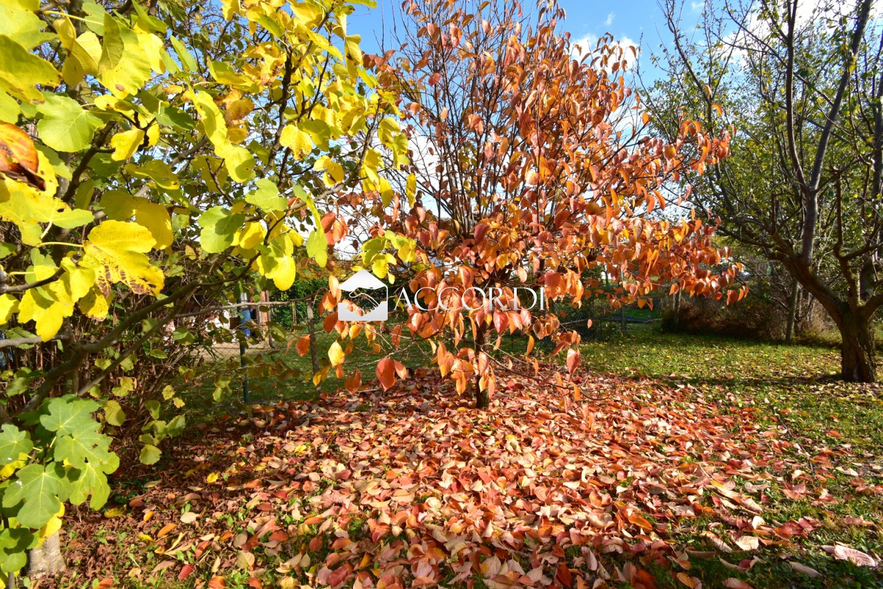 Casa indipendente con giardino a Pieve di Soligo