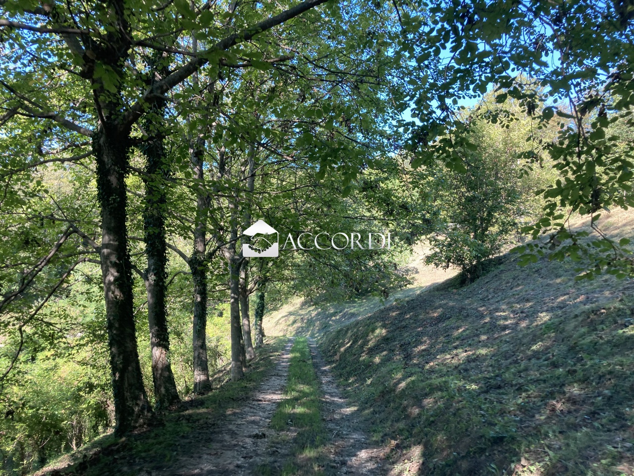 Rustico in vendita a Pieve di Soligo