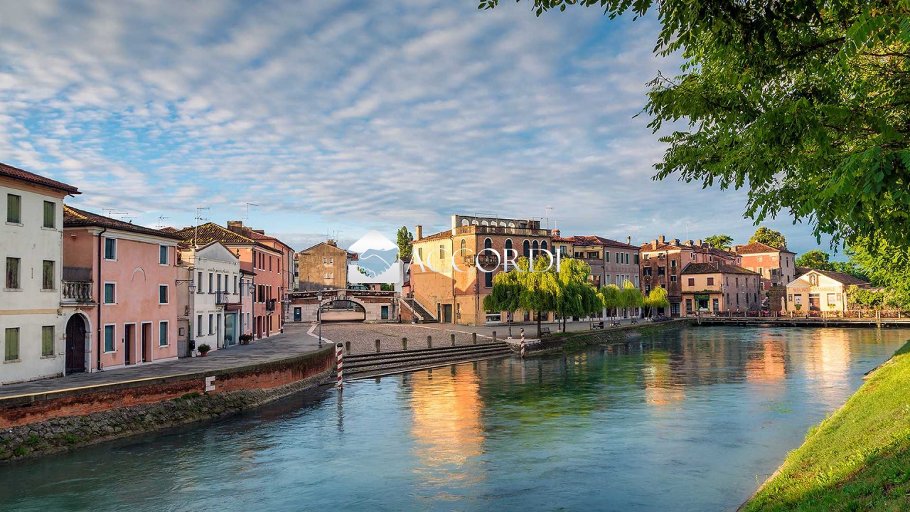 Attivit commerciale in vendita a Dolo