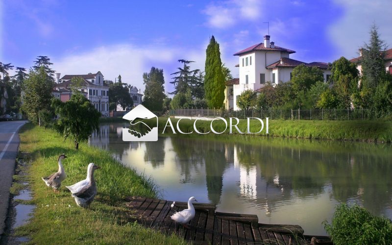 Attivit commerciale in vendita a Dolo