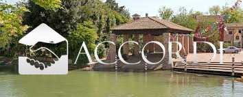 Attivit commerciale in vendita a Dolo