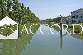 Attivit commerciale in vendita a Dolo