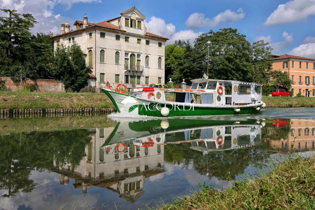 Attivit commerciale in vendita a Dolo