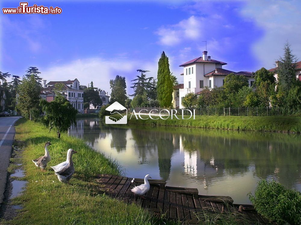 Attivit commerciale in vendita a Dolo