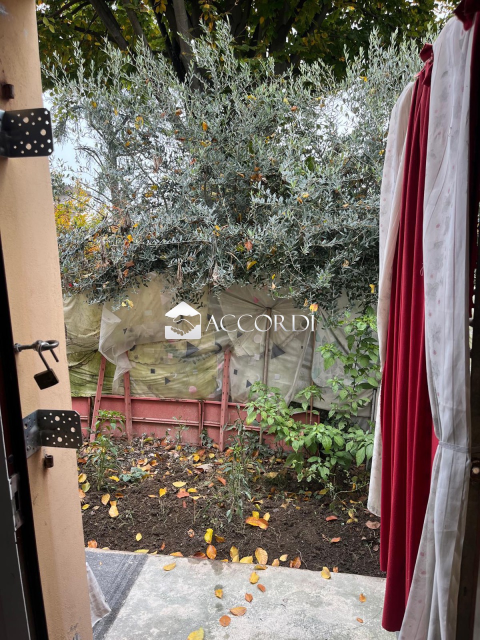 immagine annuncio 3 di 6