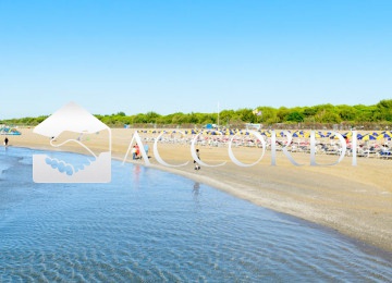 Attivit� commerciale in affitto/gestione a Cavallino-Treporti