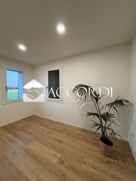 Casa indipendente con giardino a Codogn�