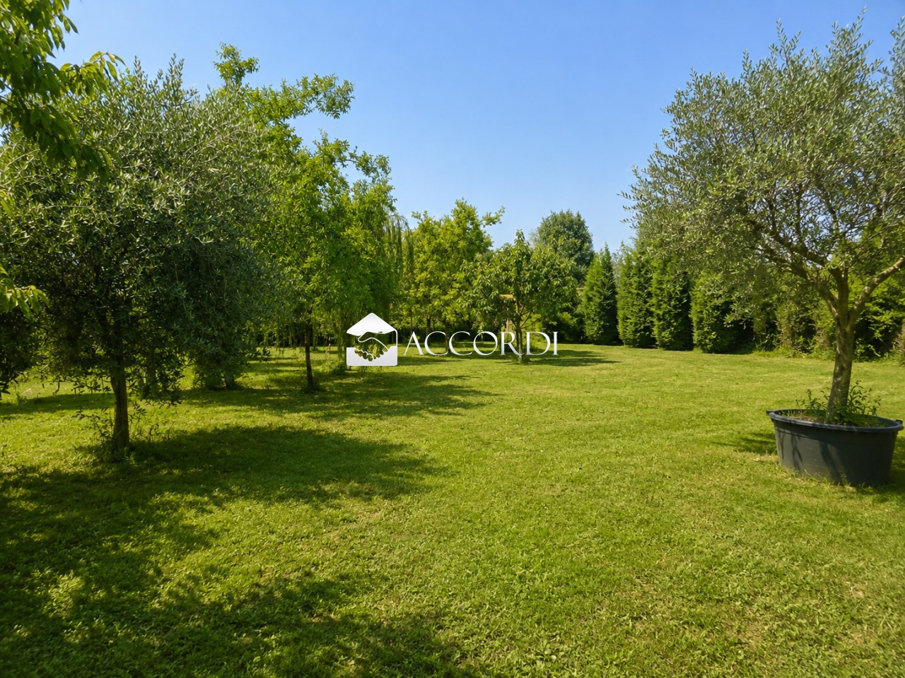 Casa indipendente con giardino a Cartura
