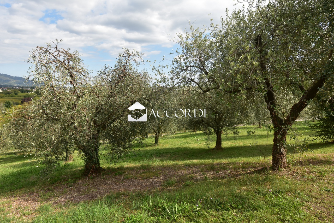 Casa indipendente in vendita a Vittorio Veneto