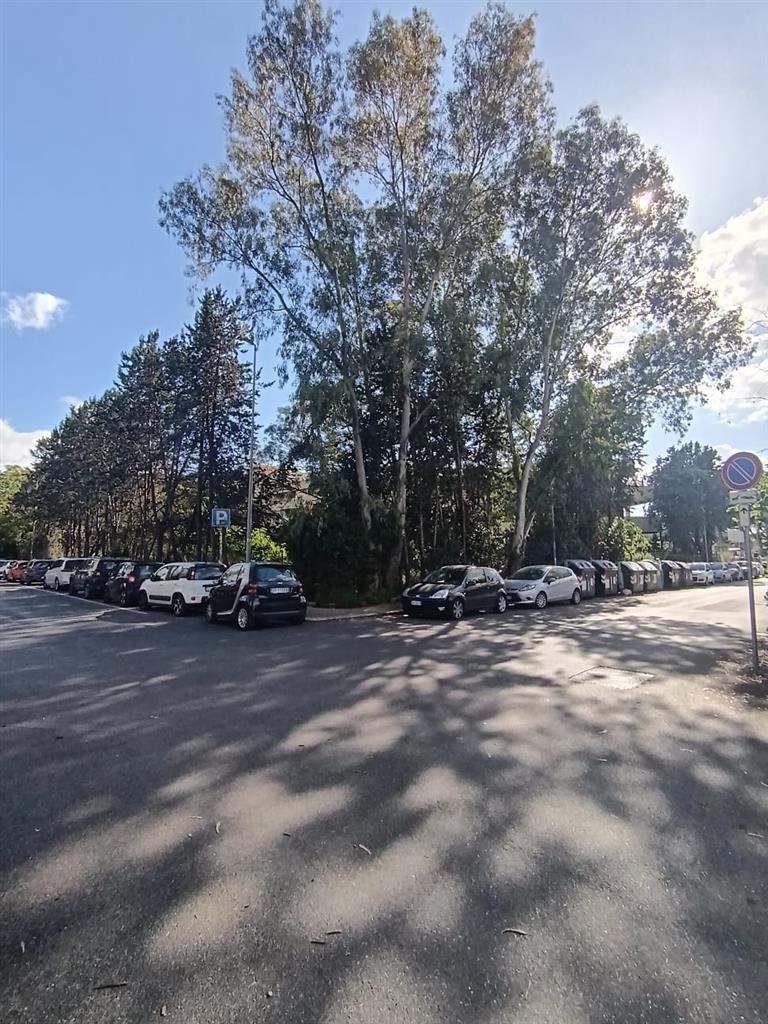 Terreno Agricolo in vendita in via acerenza, Roma