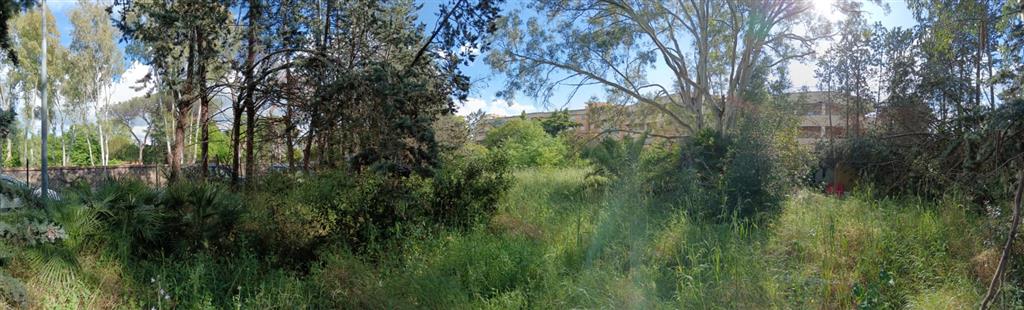 Terreno Agricolo in vendita in via acerenza, Roma