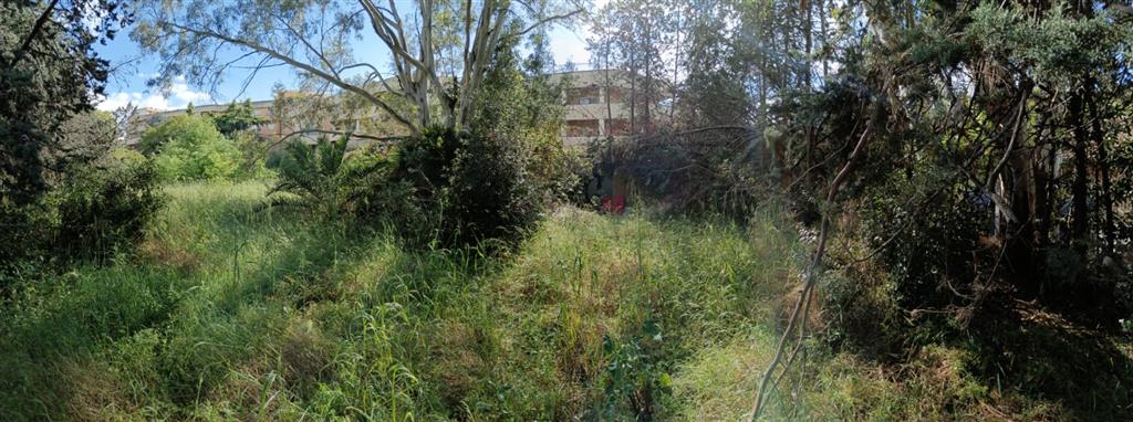Terreno Agricolo in vendita in via acerenza, Roma