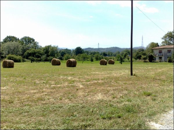 Terreno Agricolo in vendita a Sarzana