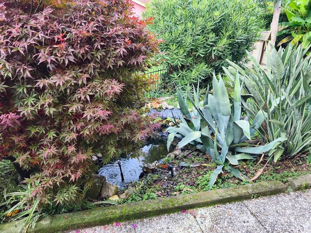 Casa indipendente con giardino, Ameglia bocca di magra