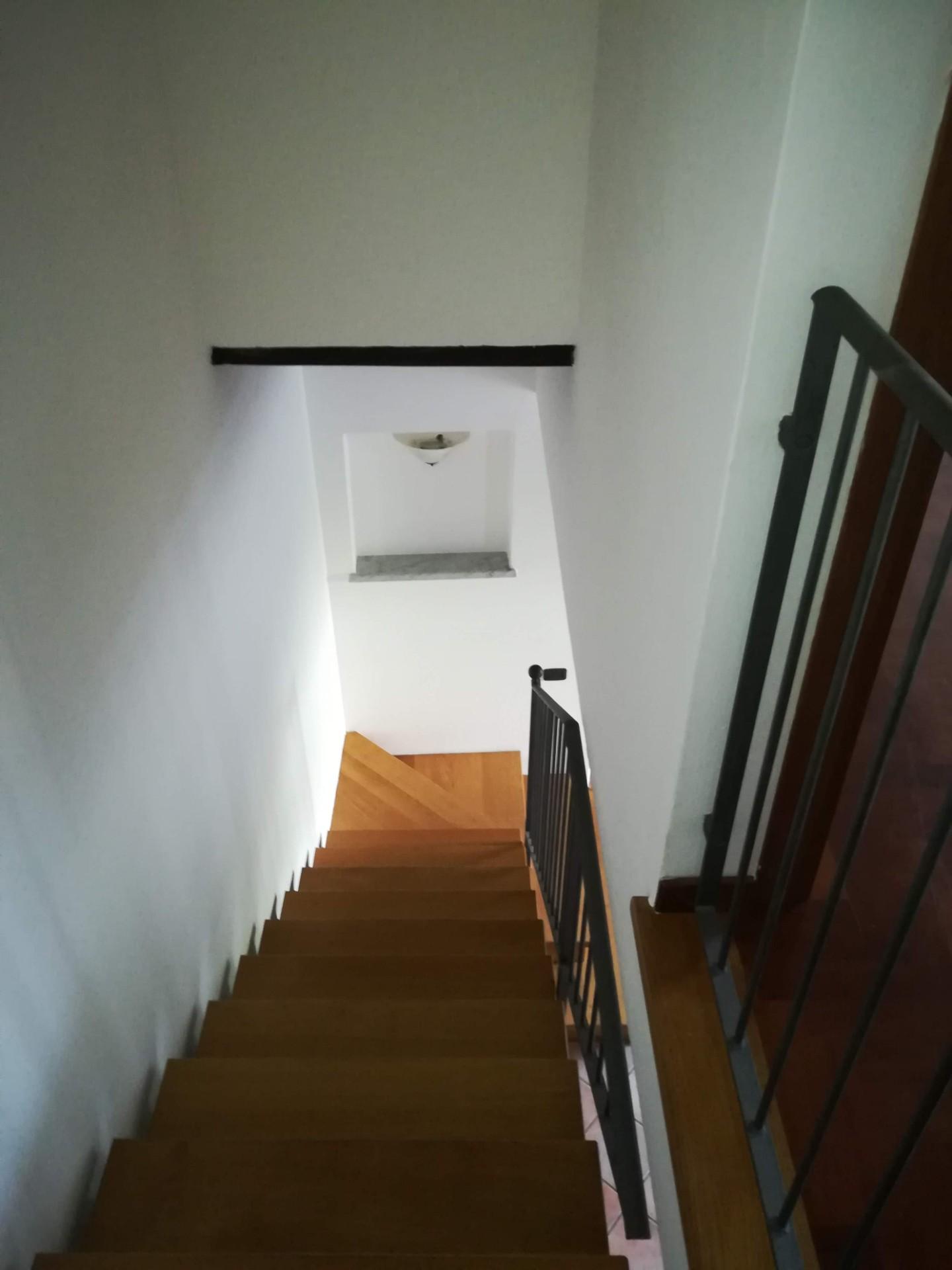 Casa indipendente in affitto, Carrara ficola