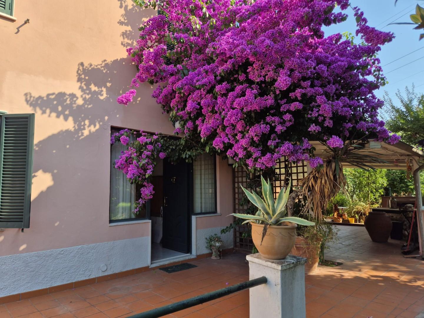 Casa indipendente con giardino, Carrara nazzano