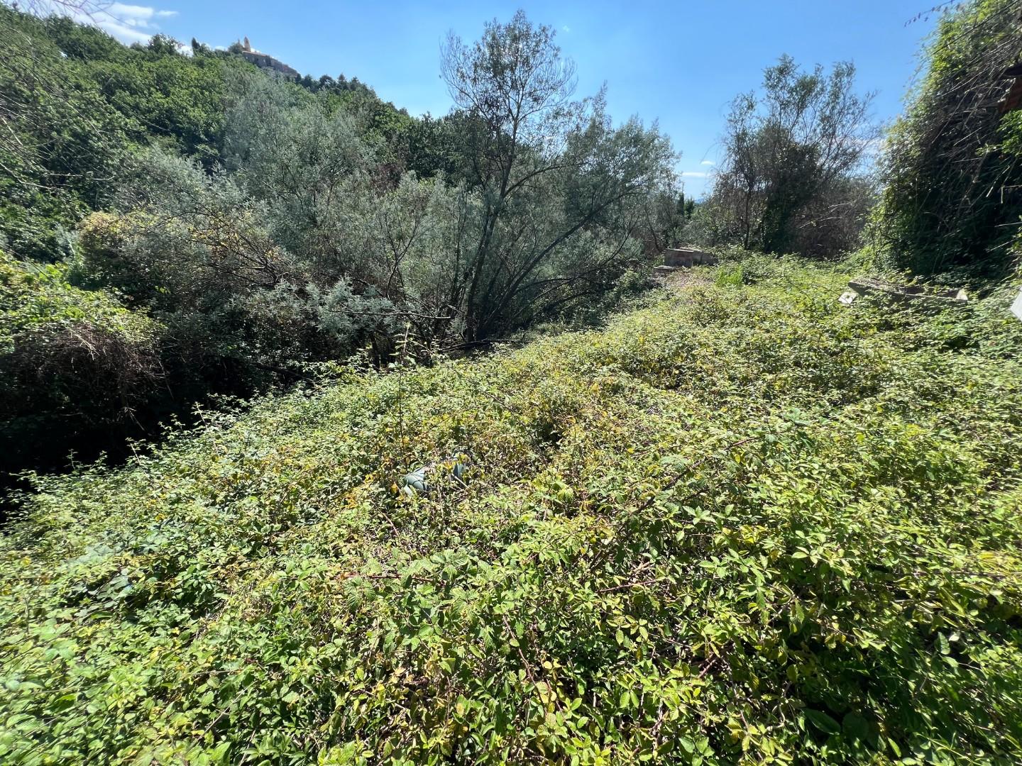 Casa indipendente con giardino, Ortonovo casano