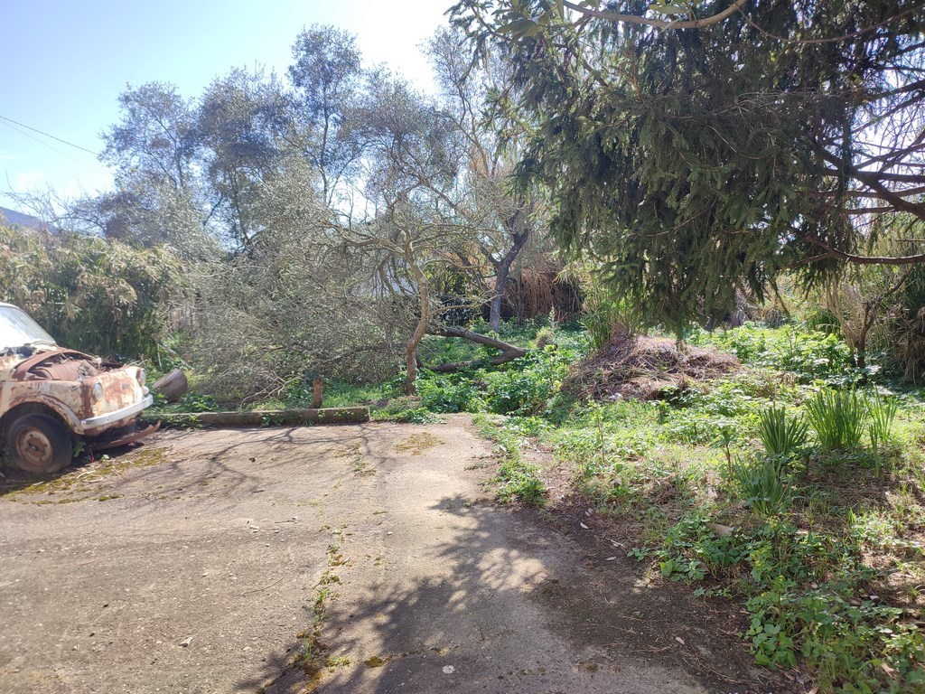 Casa indipendente con giardino, Ortonovo isola