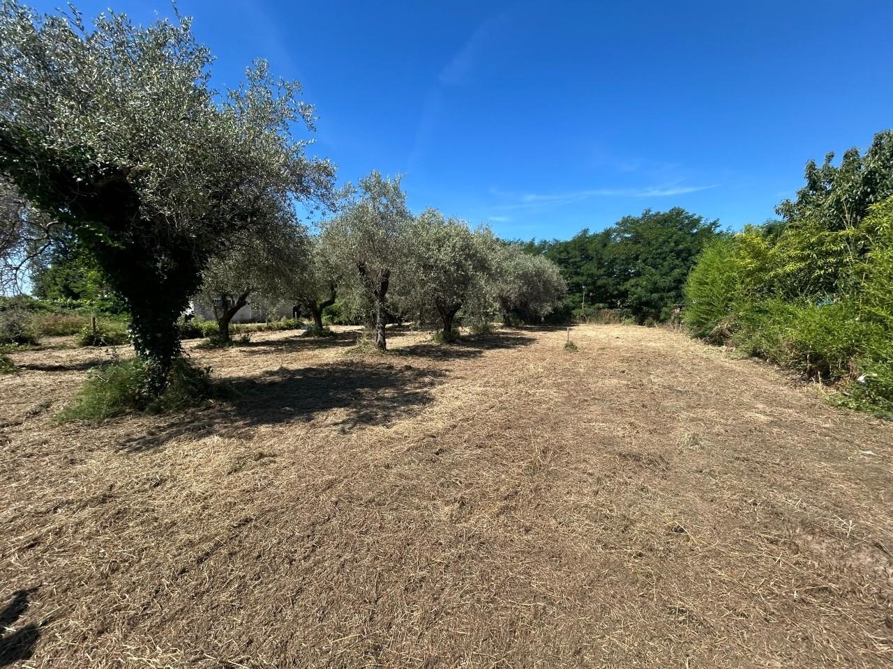 Terreno Edificabile in vendita, Ortonovo isola