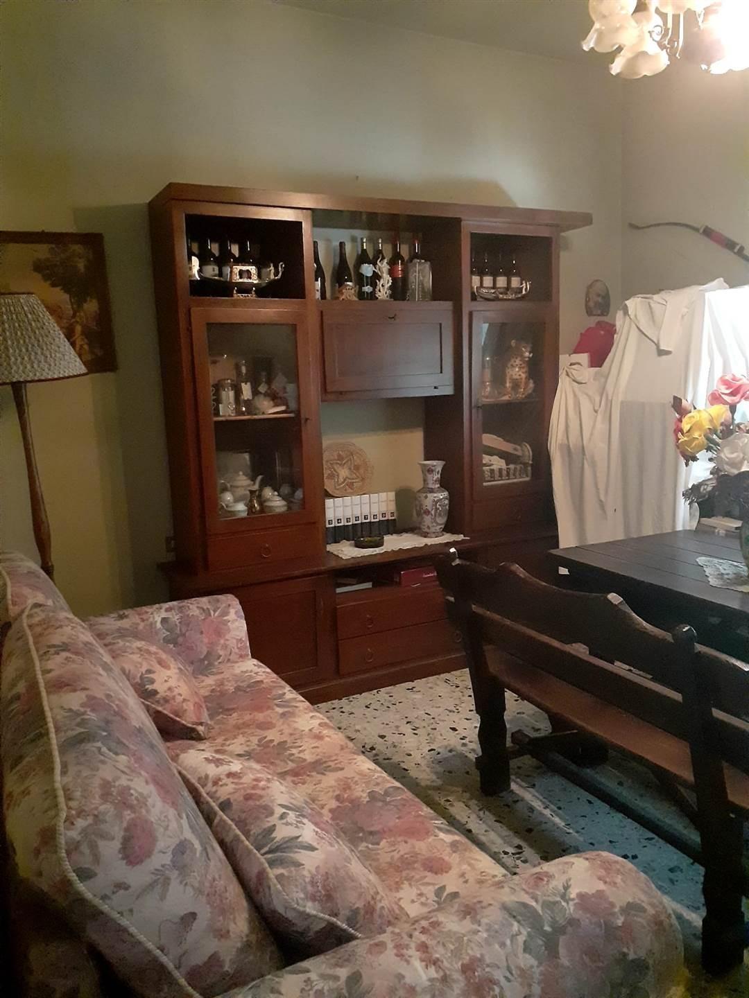 Rustico con giardino, Pisa ospedaletto