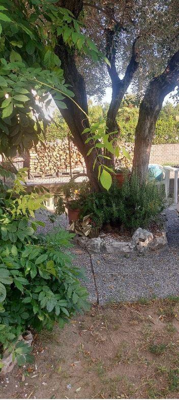 Appartamento con giardino, Vecchiano migliarino