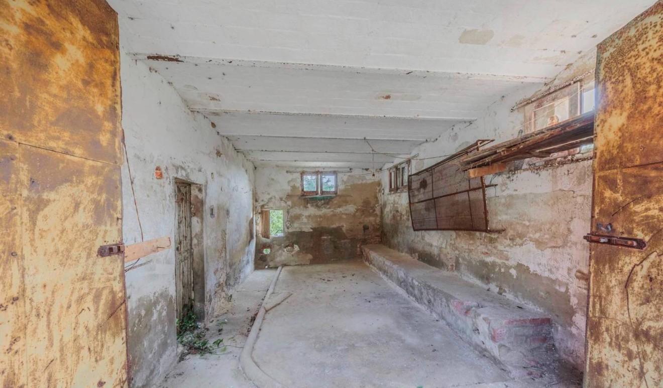 Rustico con giardino, Palaia forcoli