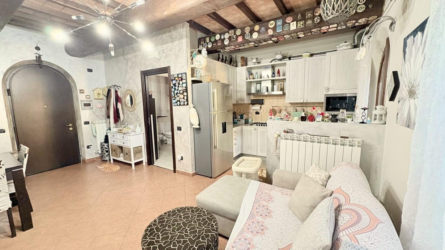 Villa con giardino, Capannori zone