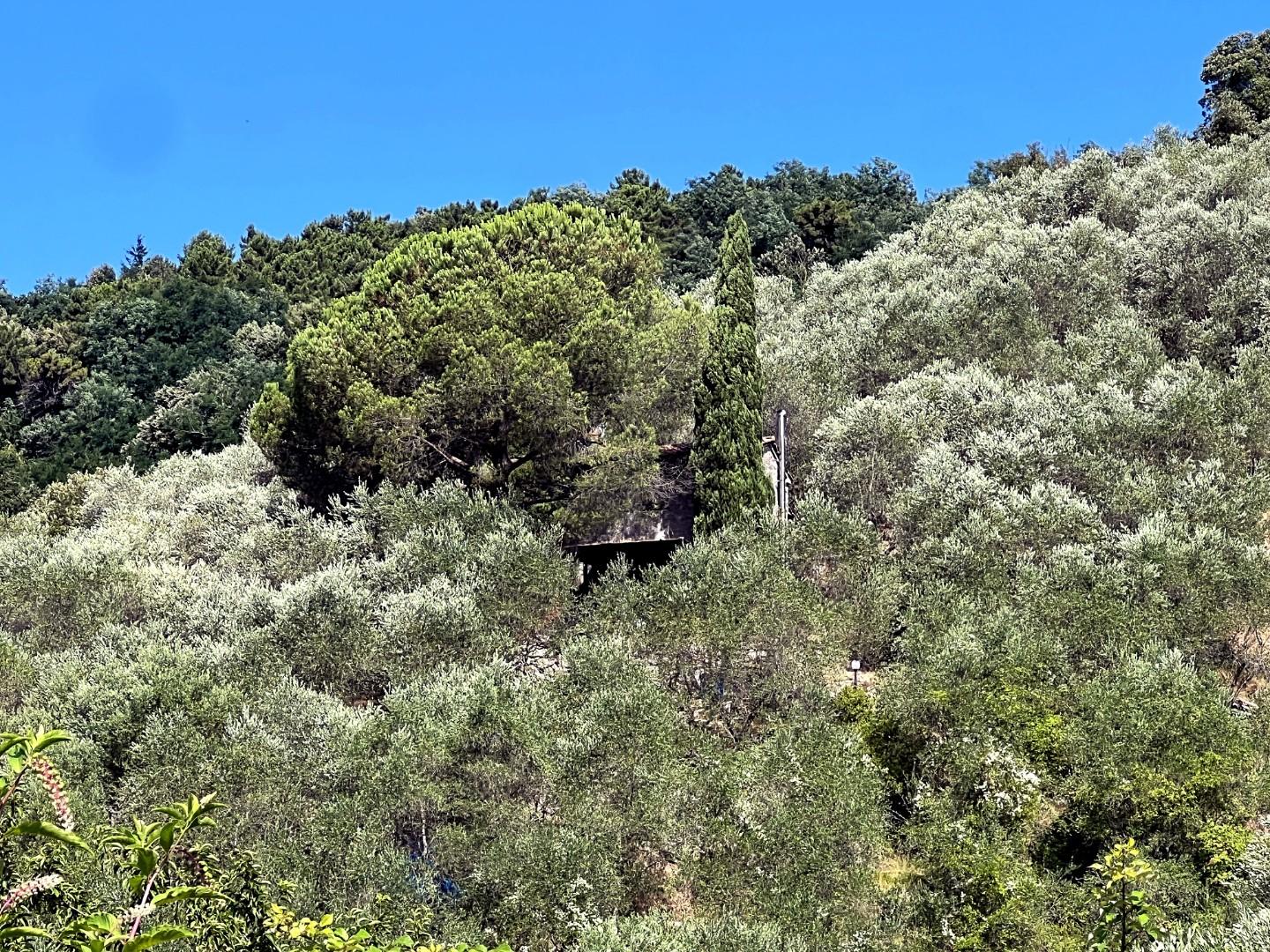 Rustico con giardino, Lucca nozzano