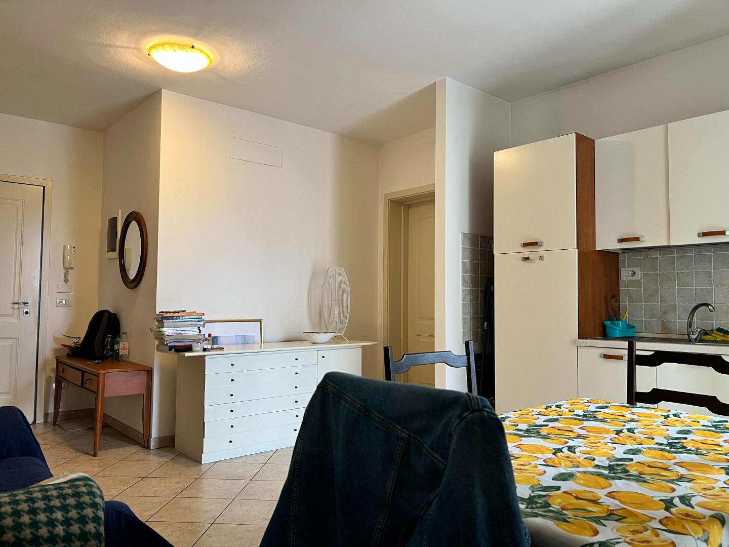 Bilocale con terrazzo, Lucca san concordio contrada
