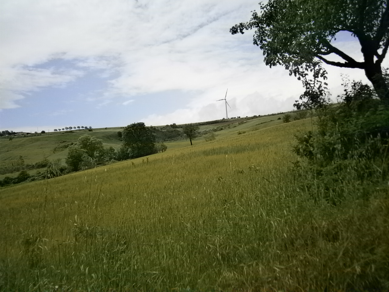 AGRICOLO in vendita a Campolattaro