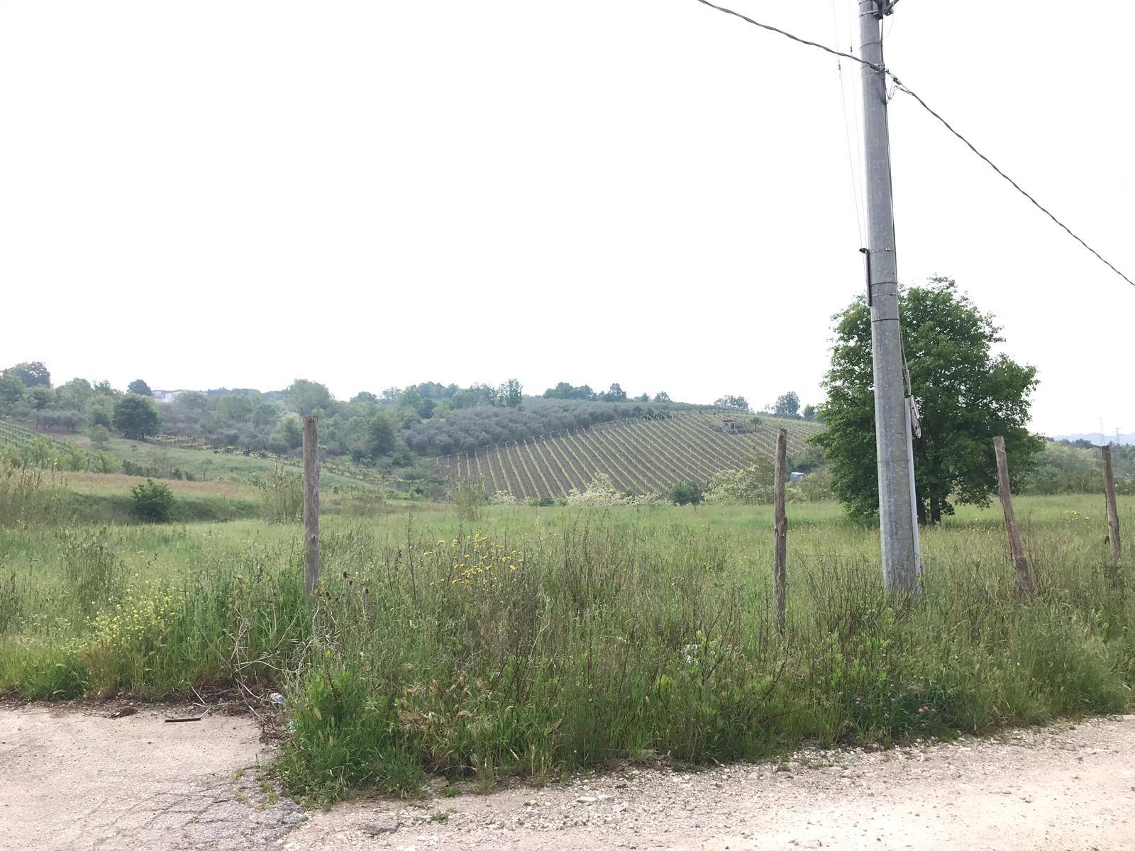 AGRICOLO in vendita a Benevento