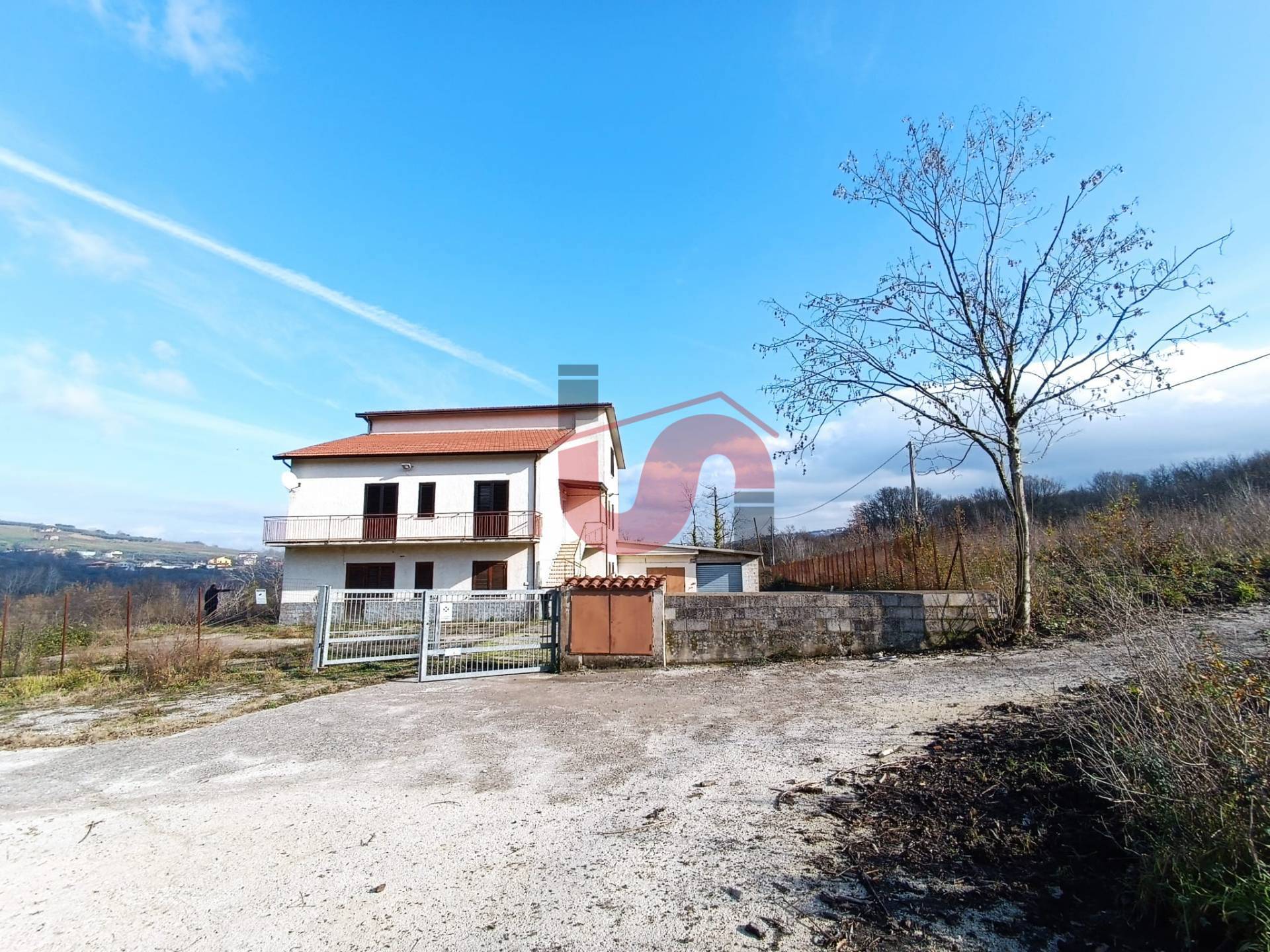 immagine annuncio 2 di 6