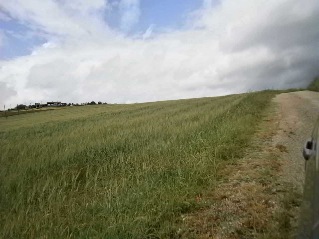 AGRICOLO in vendita a Campolattaro