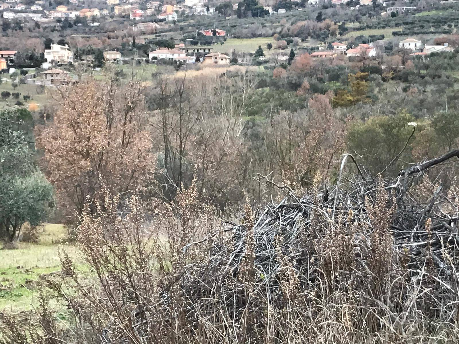AGRICOLO in vendita a Foglianise