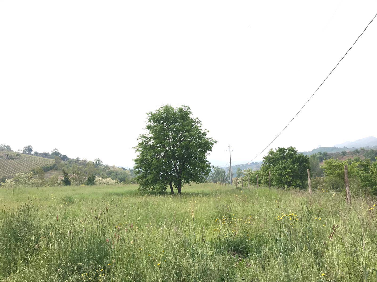 AGRICOLO in vendita a Benevento