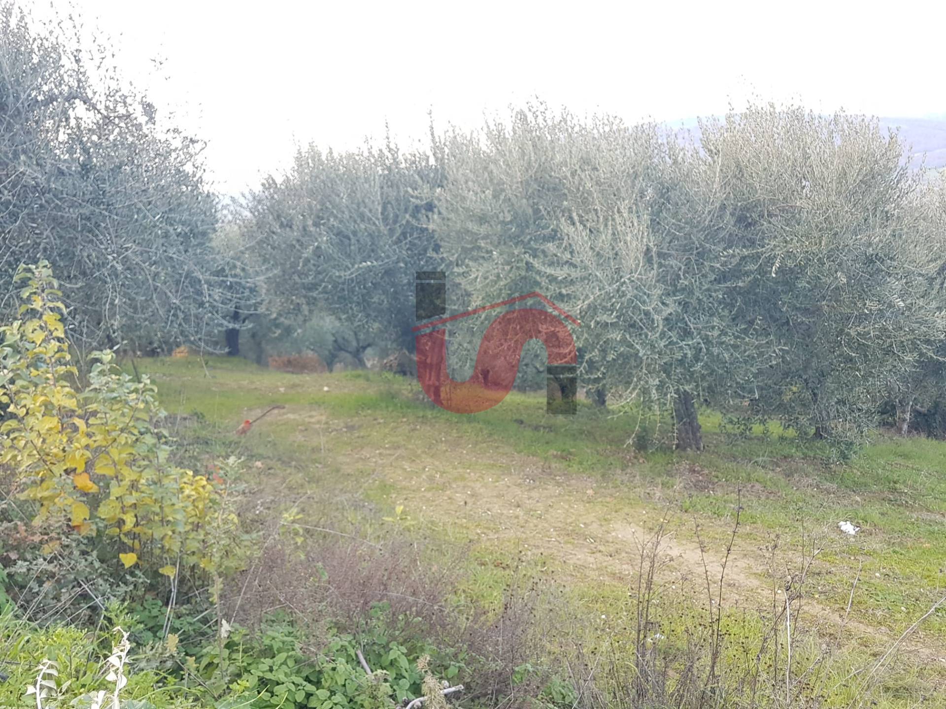 AGRICOLO in vendita a Benevento