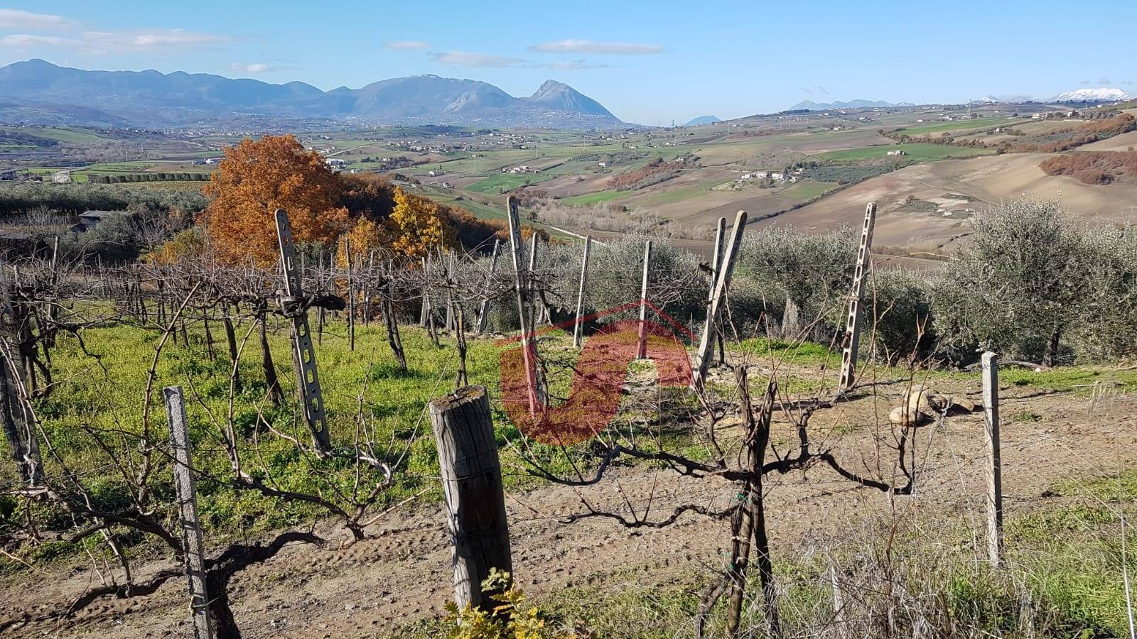 AGRICOLO in vendita a Benevento